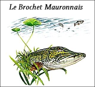 Le Brochet Mauronnais
